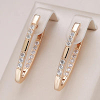 Boucles d'oreilles élégantes en zirconium doré