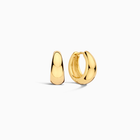 Boucles d'Oreilles Créoles Élégantes | Or