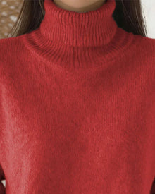 Pull Col Roulé Style Décontracté